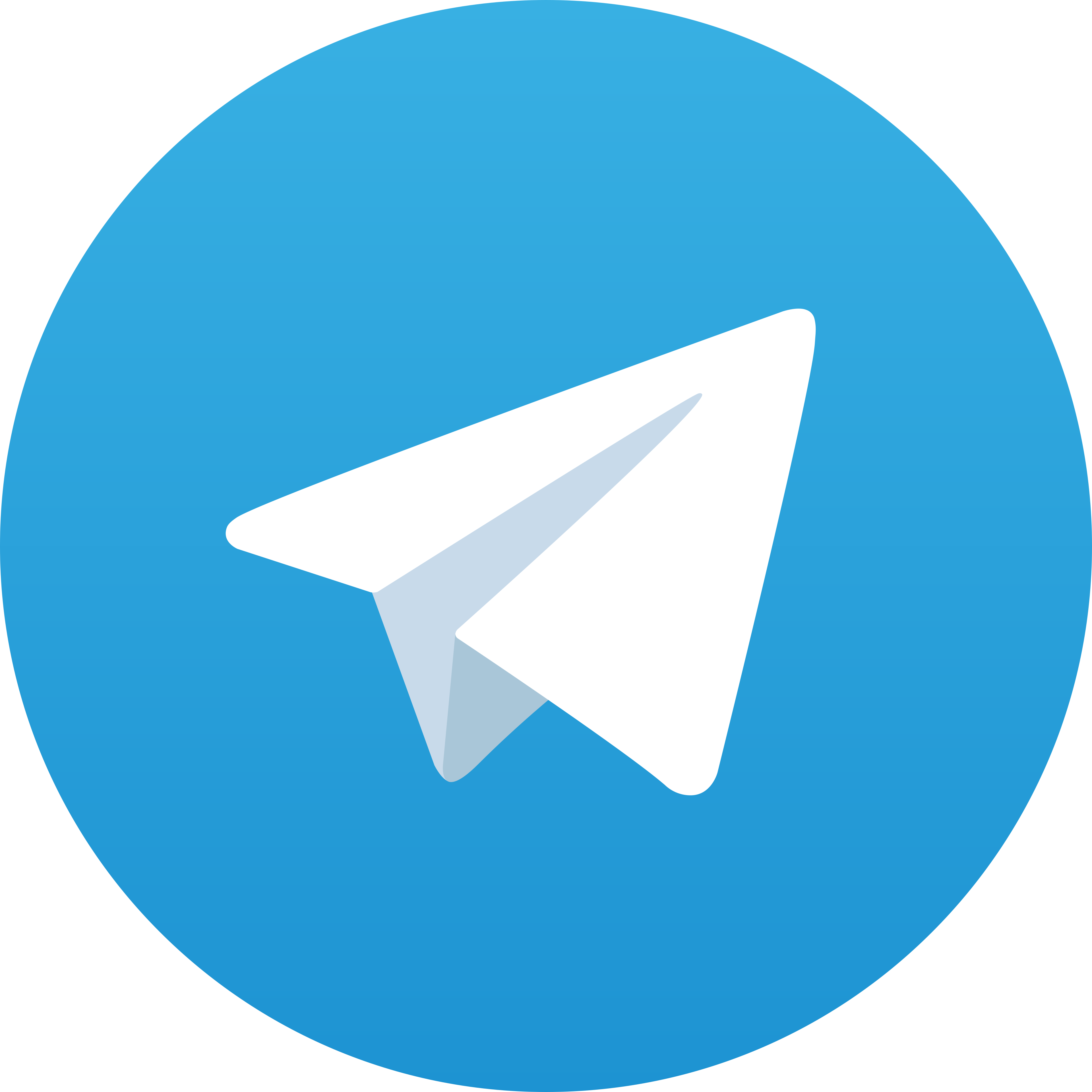 Telegram Focus88